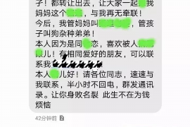 头屯河专业讨债公司有哪些核心服务？